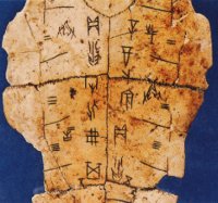 Jia Gu Wen ¨C characters inscribed on bones or tortoise shells